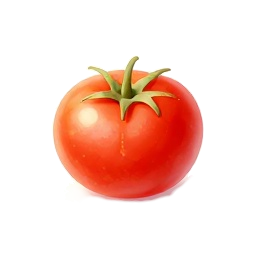 Ernährung